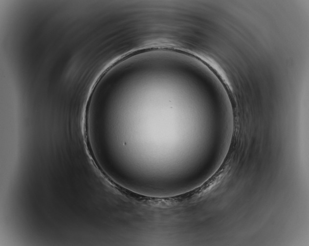X0000094450815200711081303