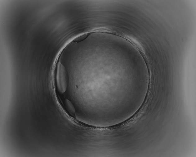 X0000094450816200711081303