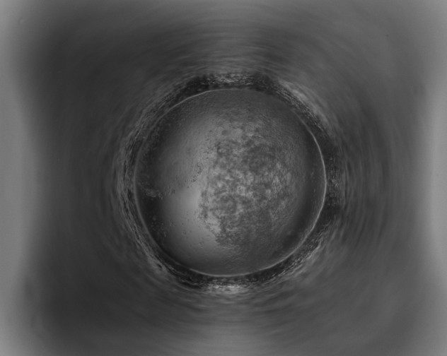 X0000094450817200711081303