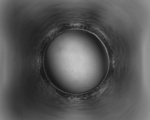 X0000094450821200711081303
