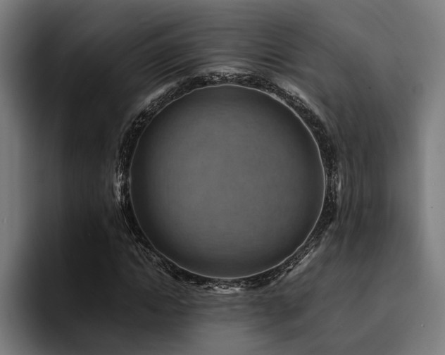 X0000094450822200711081303