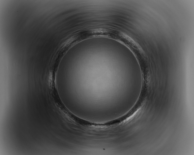 X0000094450825200711081303