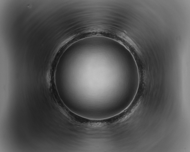 X0000094450826200711081303