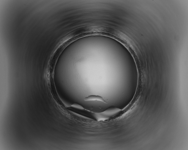 X0000094450827200711081303