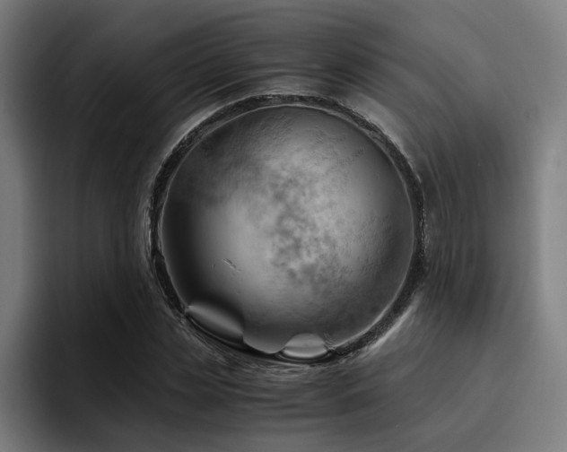 X0000094450829200711081303