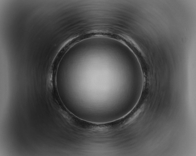 X0000094450830200711081303