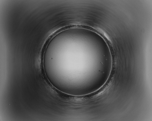 X0000094450831200711081303