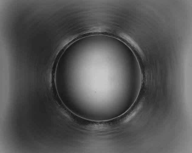 X0000094450834200711081303