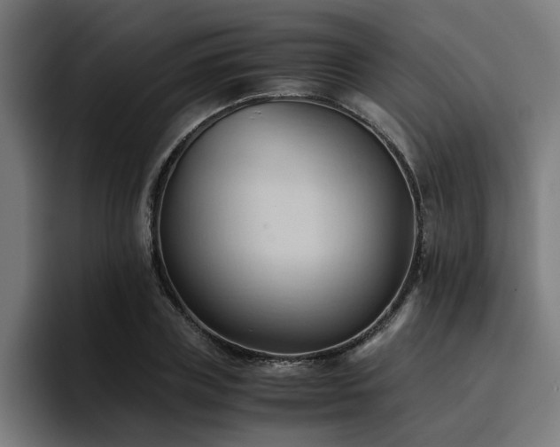X0000094450835200711081303
