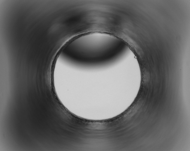 X0000094450836200711081303