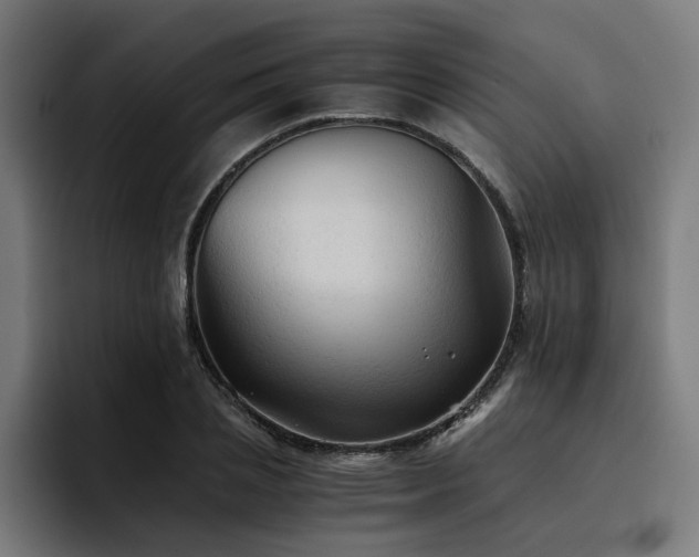 X0000094450837200711081303
