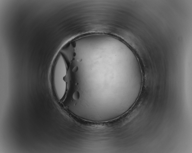 X0000094450838200711081303