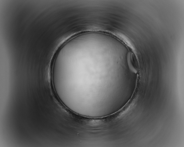 X0000094450839200711081303