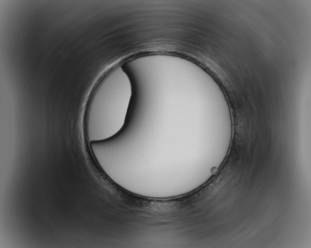 X0000094450840200711081303