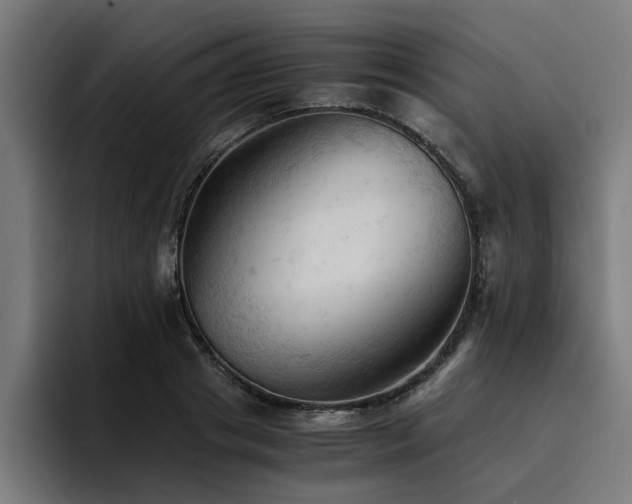X0000094450841200711081303