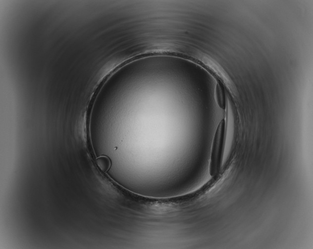 X0000094450842200711081303