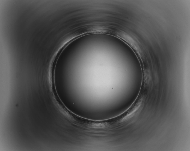 X0000094450843200711081303