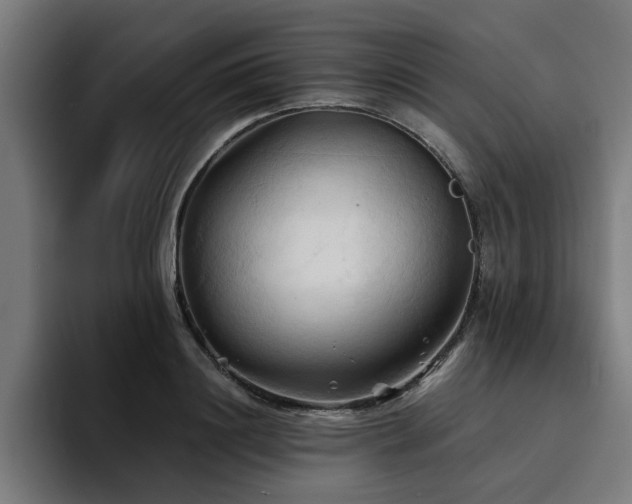 X0000094450844200711081303