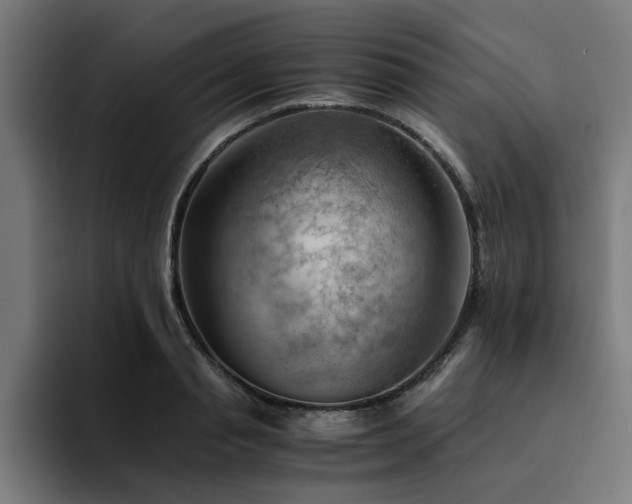 X0000094450845200711081303