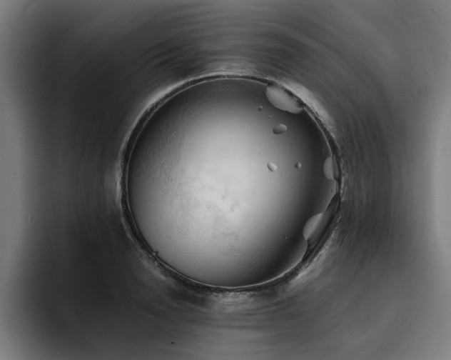 X0000094450846200711081303