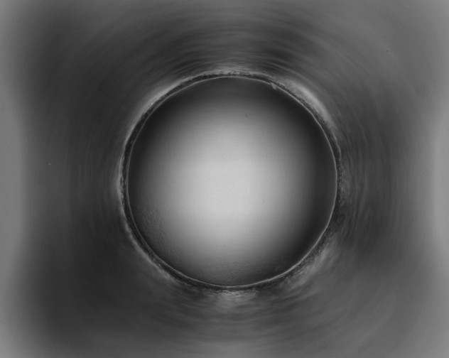 X0000094450847200711081303