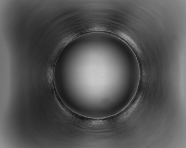 X0000094450849200711081303