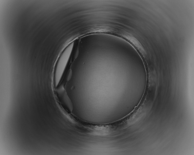 X0000094450850200711081303