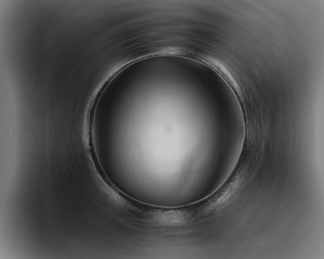 X0000094450851200711081303