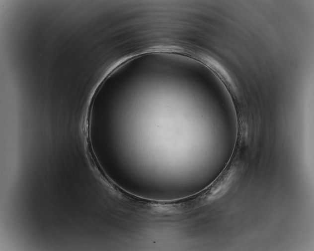 X0000094450852200711081303