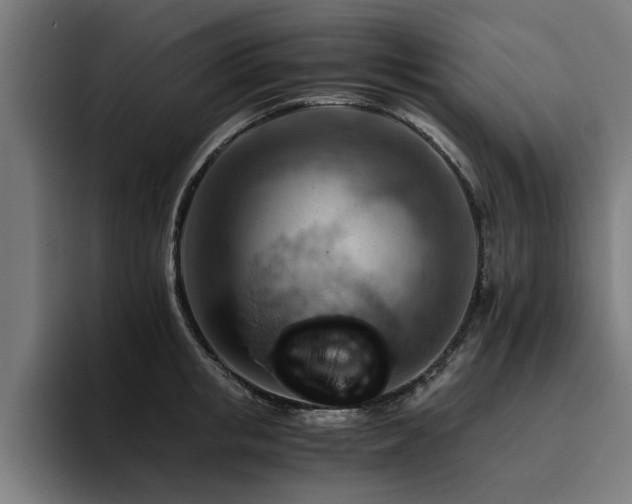 X0000094450853200711081303