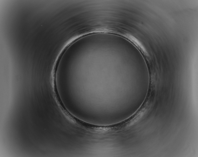 X0000094450854200711081303