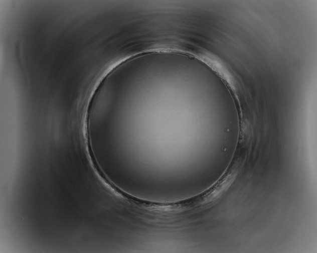 X0000094450855200711081303