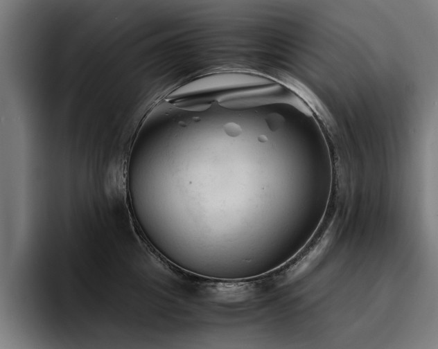 X0000094450857200711081303