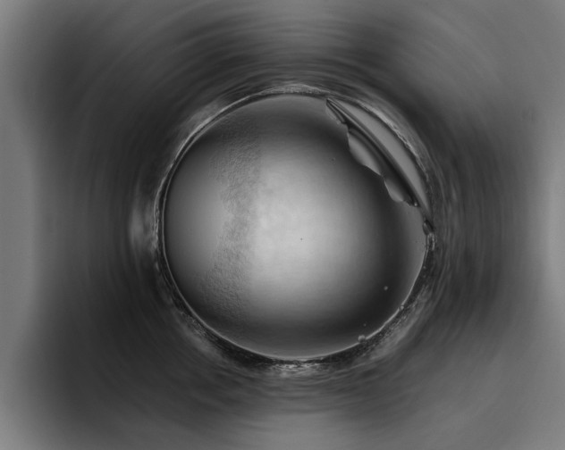 X0000094450858200711081303