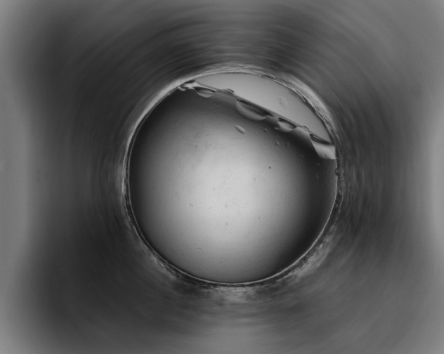 X0000094450860200711081303