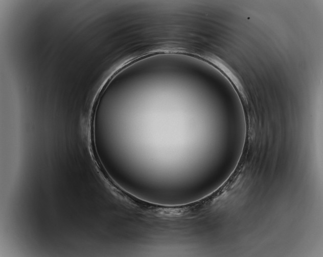 X0000094450861200711081303