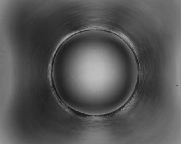 X0000094450862200711081303