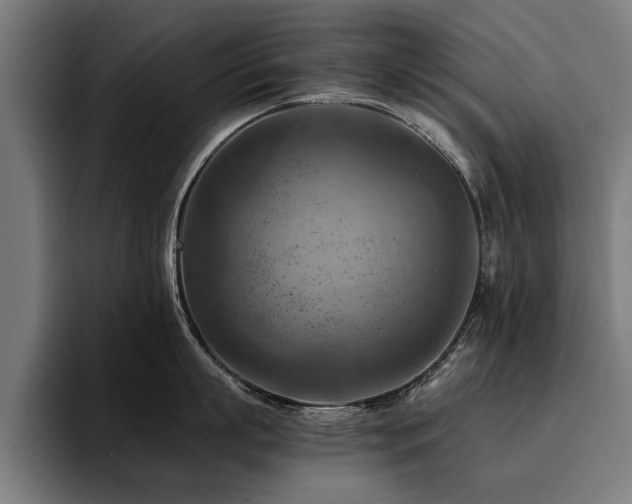X0000094450863200711081303