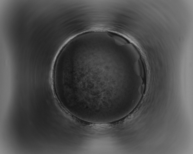 X0000094450864200711081303