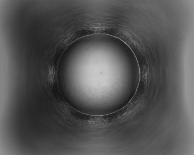 X0000094450866200711081303