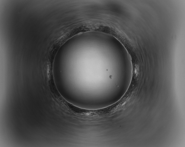 X0000094450867200711081303