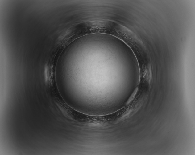 X0000094450868200711081303