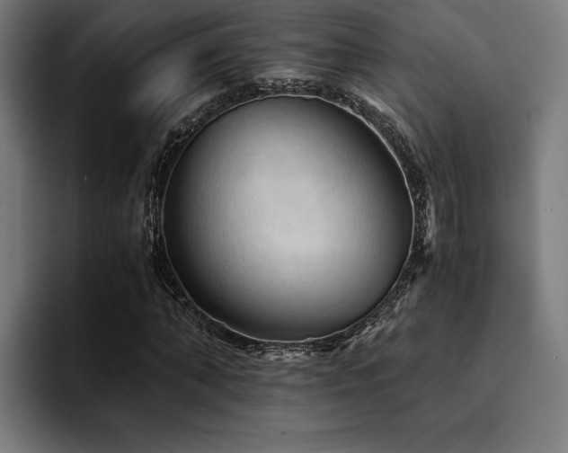 X0000094450870200711081302