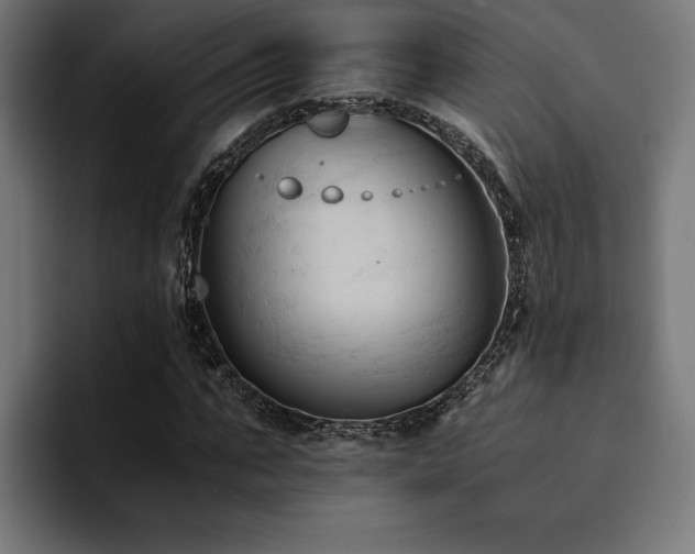 X0000094450871200711081302