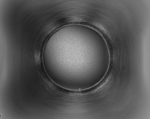 X0000094450873200711081302