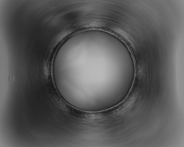 X0000094450874200711081302