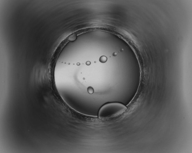 X0000094450875200711081302