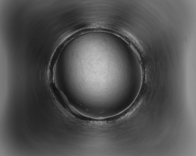 X0000094450876200711081302