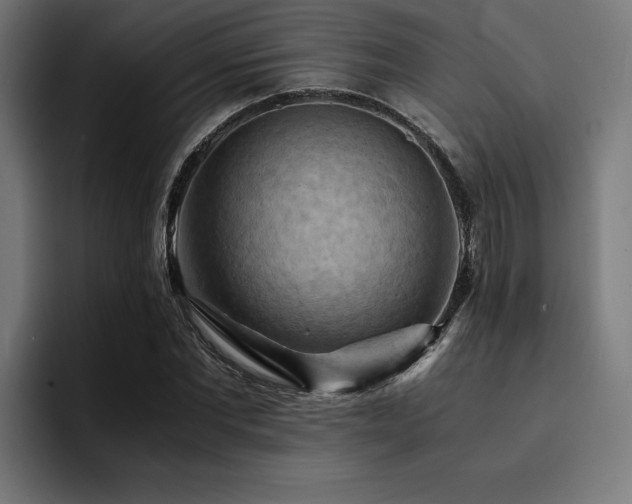 X0000094450877200711081302