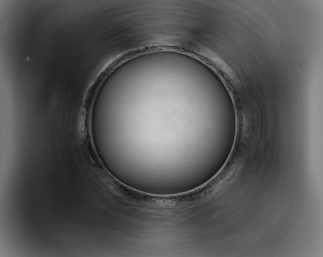 X0000094450878200711081302